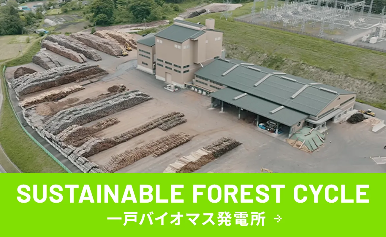 一戸バイオマス発電所
